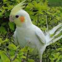 316d455a83904172b615e94d5fef7cf4e9cfc606