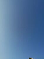 3f9b219952d024a124c947ce7db2f53058de3660