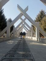 352a50fb5767986c5d558bce2cbcfa8541bc2cef