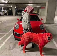 09671f06dd8d25d1ea5ba7aadaa53a397c3207b0