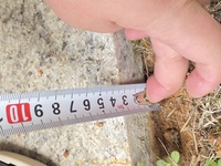 Df484781ec257dd84ed4211881a2134609aa8071