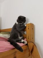 76258dd2d906456a91e402a7db5d8805bd71afd7