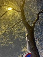 38ed652f43a5edaeb7582463f1d301072216e373