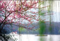 3d5b6e12c8328ea3a15a4257b75f3c40791220d3