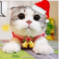 834b990b428cb3347b0eec66d6060c8e1edfaabd