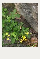 962a23a158ace285add146d034a7369de22c534d