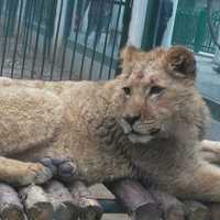 E1efa1086d765731586cb7b8a602722cfe52a28f