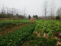 5586458f8d189e5d794d09a7fae3f5570643c8b5