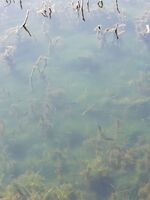 136100e334b046a578ae51f3833bc6f71f3d6674