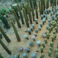 A92c47e5fbc2f5118ed16e39ff1a1f9c68af9eec