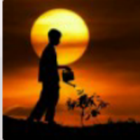 C5e57da2f5d40e042712a6277426155656b7faf6