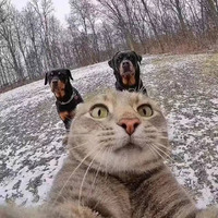 8c86dd294b905e510d56e1c2c4cc3be1a9c7305f