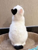 E28261a807ef755053dc75a6cad2ae0a8a2ce920