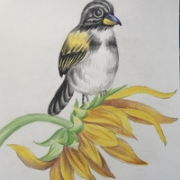 6e7e7ff9a0d74ee717630566111821fbf27519bd