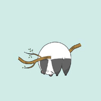 37f00b980d47d92da0296e1124392b93753a36b8