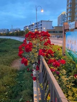 9ecd80428f8ae08e410edb0dfddb55b33e7dc543