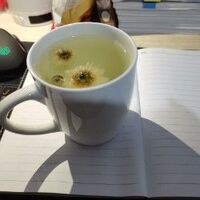 5e610edf0be56fc1e0ec741513318ed180219a98