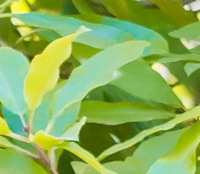 Bde995c3a49a37c8e8e595f52f9a02a2566abc2a