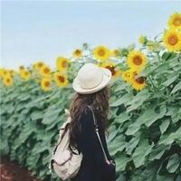 538d129de7db4037011357c2354b4316f0f5b93d