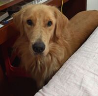 B10eb8421b3d6e03e1590f78c20db5dd0729d0fc