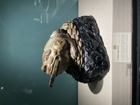 9f3b7d28440322ee819978cda1348db078667830