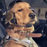 0c3b4d95703a2097d0c2986c9889db890322548c