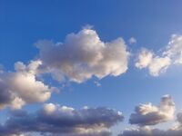 E2d383a8386ca722d201f8e84d8800124929a3c0