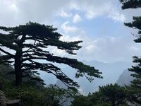 3138109e2634b08d1f9f7a6e08ca566d2e5c2af8