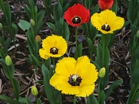 A537337871c02cc08d4fbb09de471b99b044545d