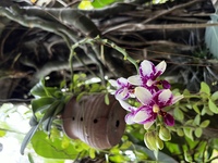 E640f01b43b250924fbfd99cc109dfea0a1f3bd1