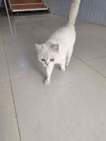 Ee75c300a5124671151757331967bd0e626e369d