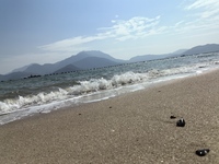 A38795f9d2f9b73cc246b5985b1615012ac8f4ac