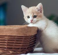 Bdb7ca1427c271070ea5d280db0ee29503319fd5