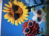 75227f68c529d4a859fd2091e9b8360acba96387