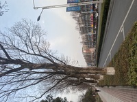 699678c90ed88eb4d7a6c9a63f3fd5cb2606c6f2