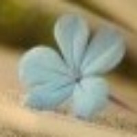 47ed75bcae0e8f295cb073856747a1ad30042a1e