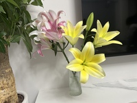 9c5a87d7b3025772b5bd6ae83cc10c2561172811