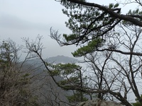 90b97e0256ca40e0410d5202caa89907621cf32d