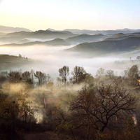 101cdae3be195c43c16b6c064852e0550224941c