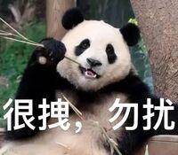 4245d36907783deb93fdf037f847ee46e5a17486