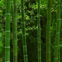 Ed28a048452ba5b409e5a2a3e55fe05b811c3c55