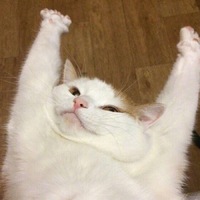 28e7ff3838b3c9578b44ce94b1a7beda398563fd