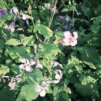 835a8924d7bb4903237a56db48c3fdb85c0771c3