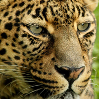 414dbac10415ecd8339627b84f2515936b8015ca