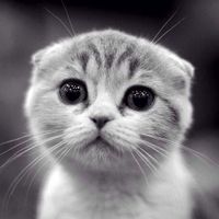 2f15384922ecefba0409ccbd148713cba6c7c732