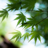 7f47758785c01dc8a06c7ada044b54df1679ea20