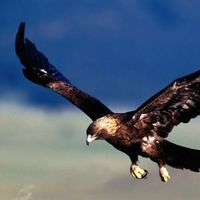 5b2dde0a9c6d01ea28dc5f4f12e21a8b74d8e37e