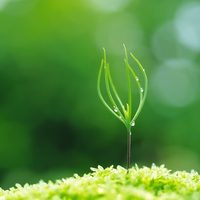 70d4c1bc9cbb12940226ce492ccff5100bea512f