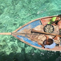 1cb8aceb4bdc502fd5ad2d5c45c9c5a0abd0c91f