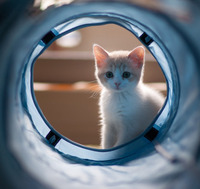 52146673e61a09f495dca52d01ada6e16b7aaa57